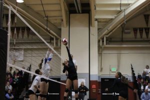 Junior setter Mari Molina dumps the ball over the net during the first set of Redwoods' NorCal semi-final game against Presentation on Nov, 28.
