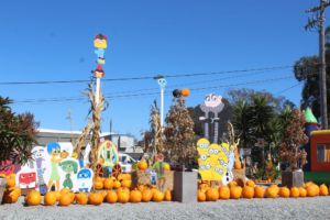 Located off Highway 101, Kevin's Strawberry Villa Pumpkin Patch displays much more than quality pumpkins.