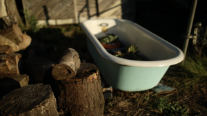 Slide ranch uses conventional material such as this bath tub for unconventional uses such as a planter
