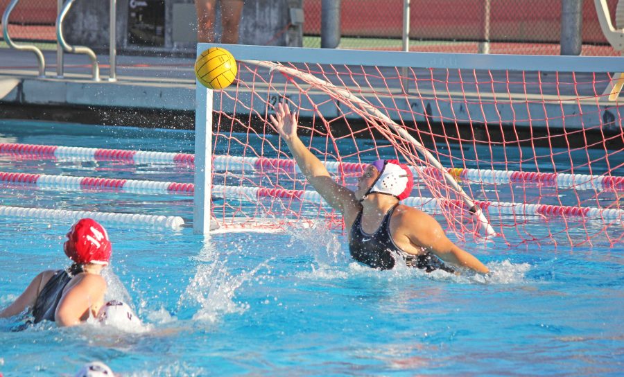 Girls water polo takes loss against Marin Catholic