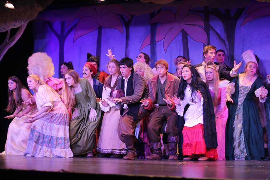 Into the Woods has impressive opening night