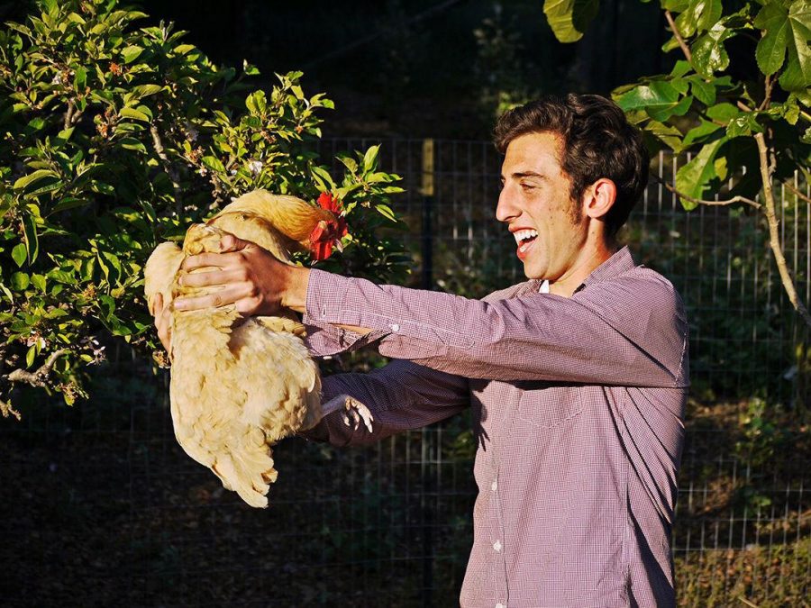 SENIOR GIDEON ELSON holds his chicken at his home. For more images, check out the gallery.