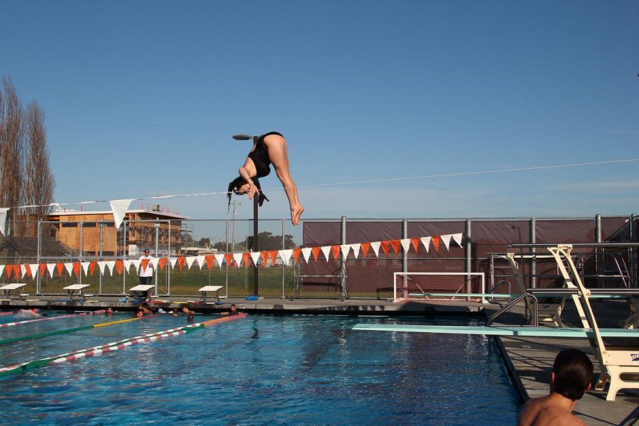 Swimmers compete at NCS
