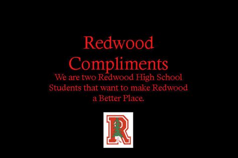 Reviving Redwood Rugby