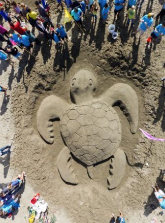 2011 winner for most realistic Sandcastle. 