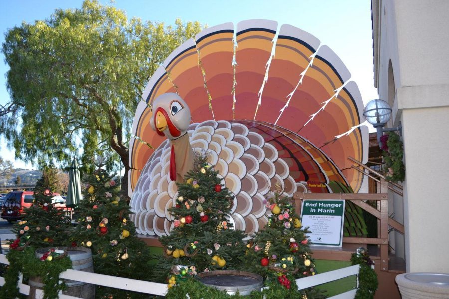 The turkey stands outside one of the entrances to the Corte Madera Town Center for the second consecutive decade.