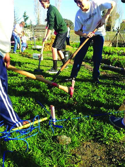 Students on work the Redwood farm, which will be a large part of the curriculum of next year’s sustainable agriculture science elective. 