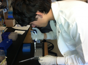 Sophomore, Matthew Moser conducts his experimental procedures on his adult and larval mosquito experiment.