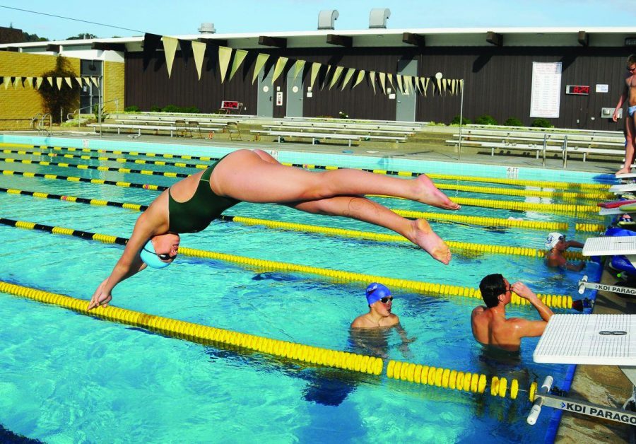 SENIOR EMMA MCCARTHY dives into the pool during a practice for her club team, North Bay Aquatics, held at College of Marin . 