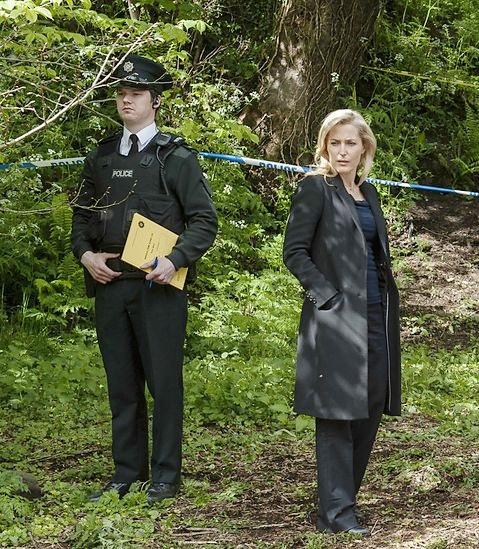 Gillian Anderson stars in the second season of The Fall.