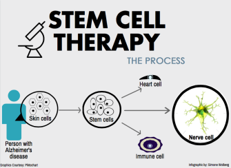 Stem cell infographic