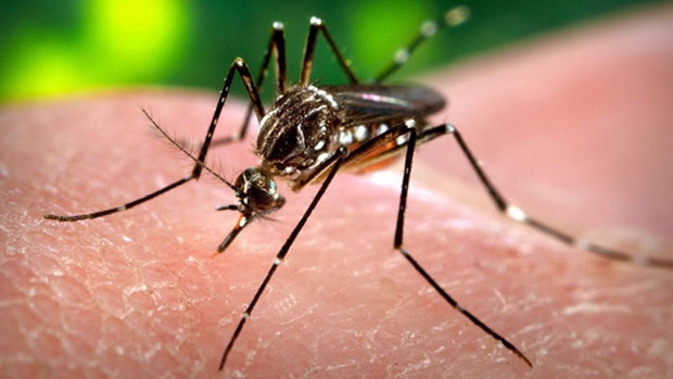 Zika Virus: Growing global epidemic suspected in student