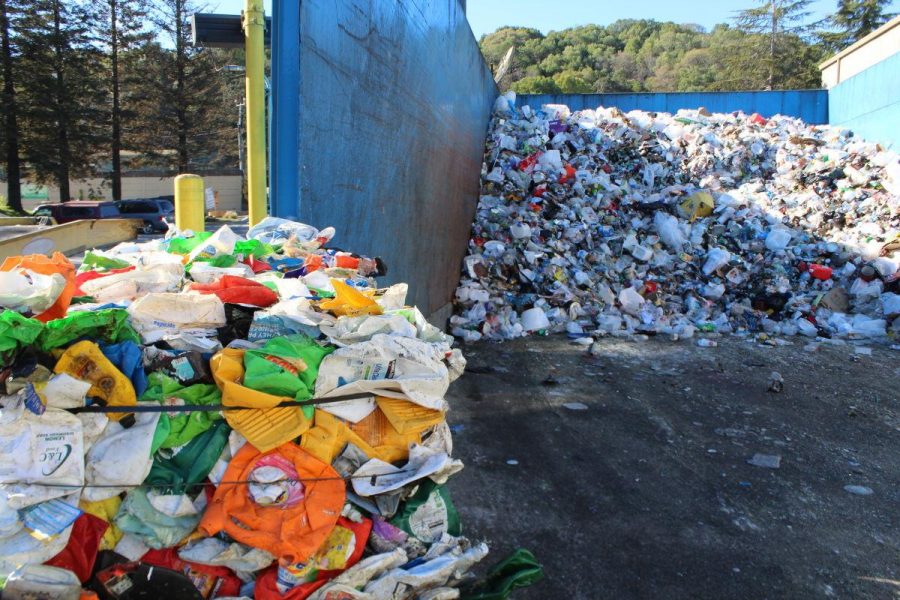 Acting Trashy: Redwoods war on waste
