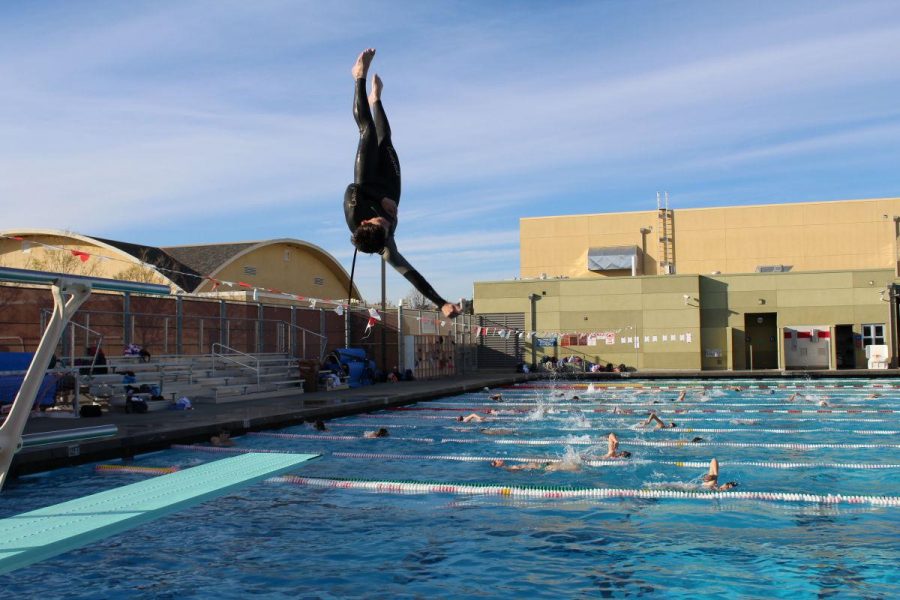 Taking the plunge: Diving team springs into season