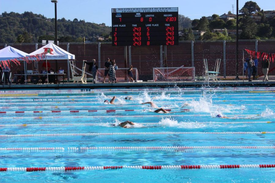 Swimming plunges into potentially promising season