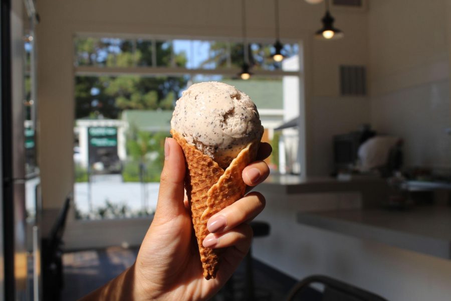 Posie offers a new, local ice cream spot