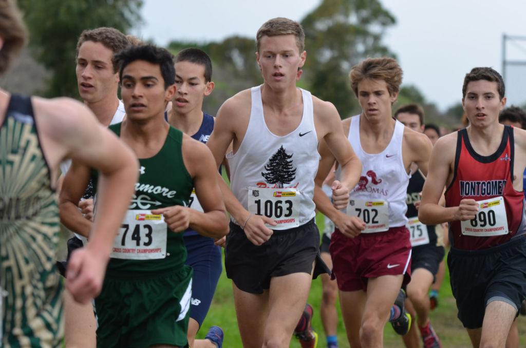 Boys cross country cruises through NCS to state meet