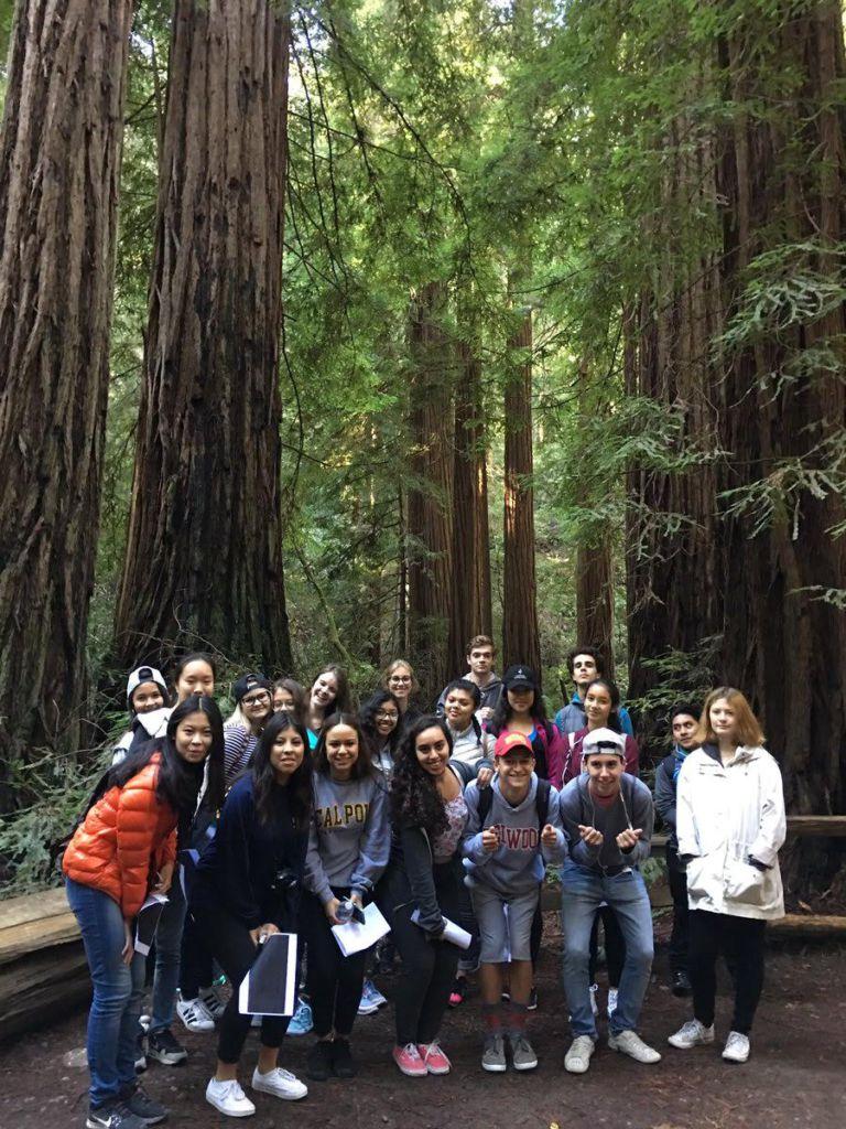 EXPERIENCING AMERICAN CULTURE and nature, the ELD class went on a recent field trip to Muir Woods.