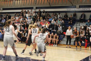 Squaring up in the corner behind the three point line, senior Nicki Yang is set to sink the basket.