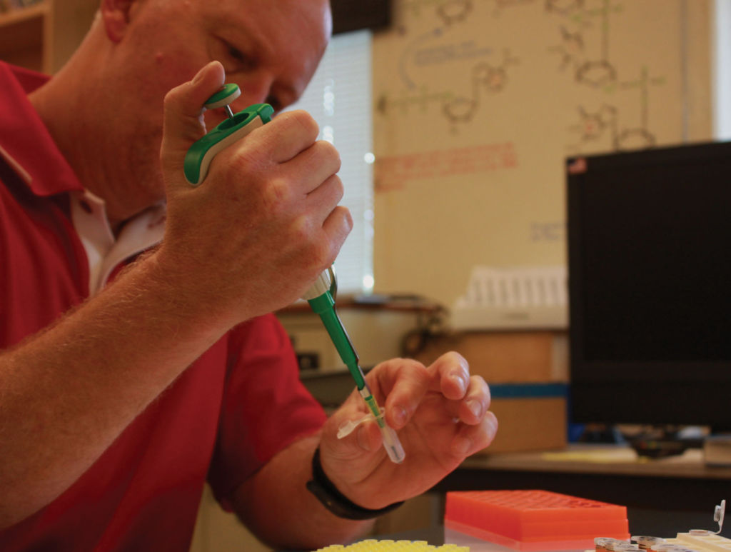 Focusing on the task at hand, Lovelady transfers liquids using a micropipette and other lab equipment
