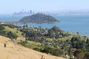 OVERLOOKING THE SAN Francisco Bay, Ring Mountain offers beautiful views and landscape and is more suited for beginning hikers.