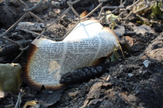 A burnt piece of paper found on the ground in Santa Rosa. California is more susceptible to wildfires than most places in the country due to the weather patterns that occur. 