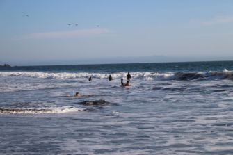 Children and Adults eagerly play in the surf as the beach day winds down.