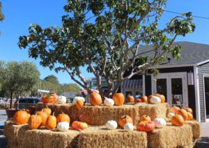 Marin Country mart, provides its customers pumpkins in the form of the honor system.