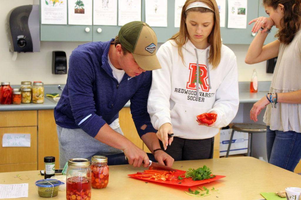 Seniors Luke Zlatunich and Lauren Bell chop up bell peppers and cilantro during the Iron Chef competition in the Sustainable Agriculture class this week. 