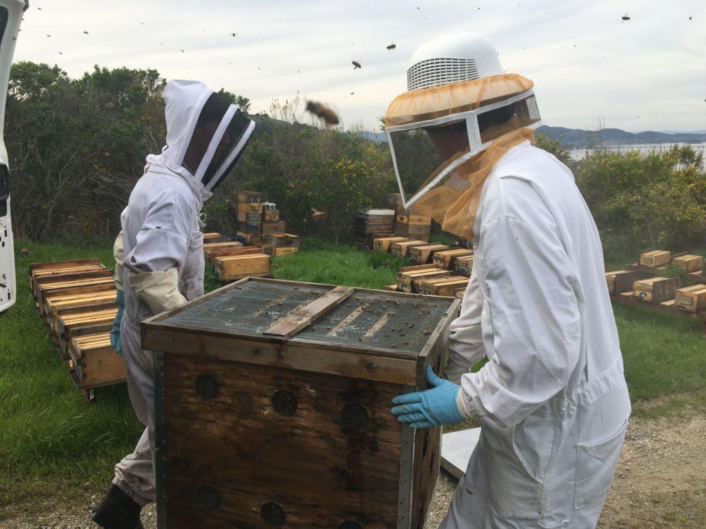 Morgan Glasser and Roy Crumrine transport one of their hives.