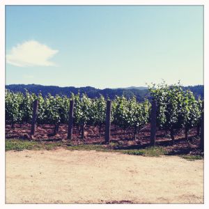 A view of George Family Winery in Napa, California.