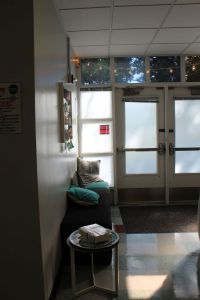 The Wellness center, full of sunlight and fairy lights, is a welcoming place for students who need a somewhere to ease their stress. 