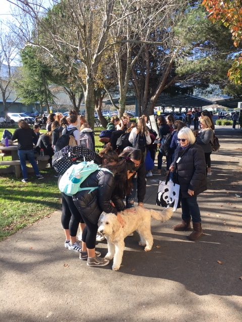 Link Crew partnering with the Wellness center to bring therapy dogs for Redwoods less stress week on December 11.