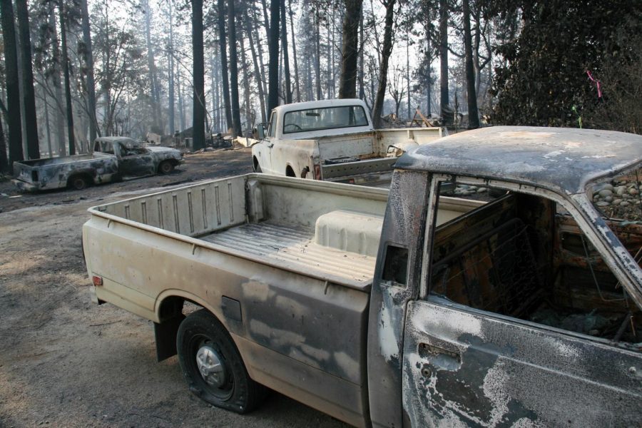 Paradise: Firsthand accounts from the fire