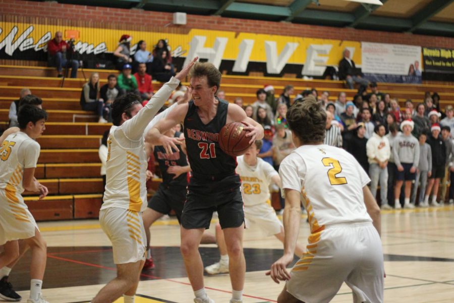 Boys varsity basketball wins big over Novato high school