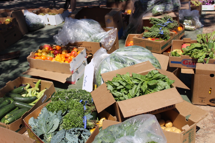 Wasting away: Marin organizations strive to solve the issue of excess food