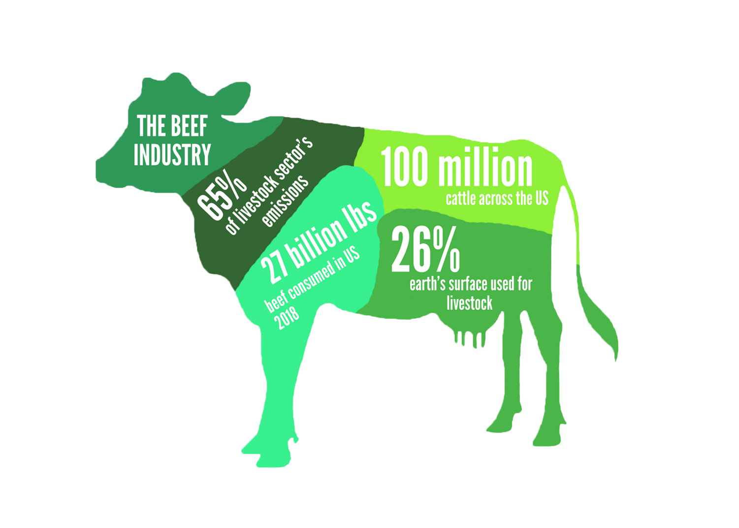 Redwood Bark | The real impacts of celebrated sustainable trends