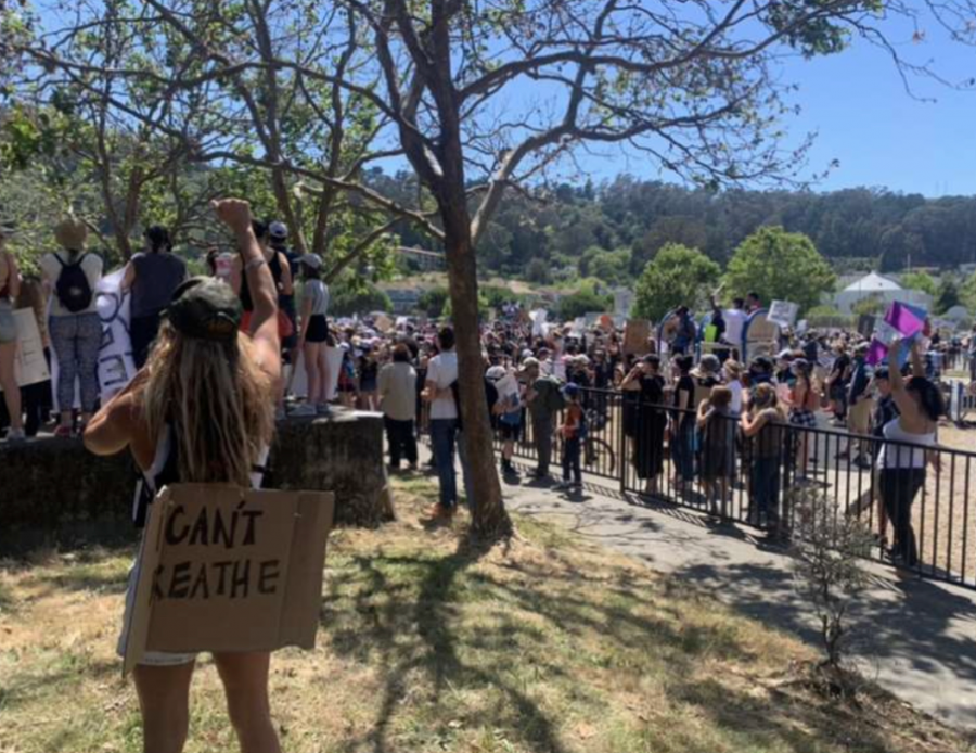 Protestors gather outside of Martin Luther king Jr academy in Marin City, voicing their concerns over police brutality especially the killing of George Floyd. Courtesy of Claire Silva. 