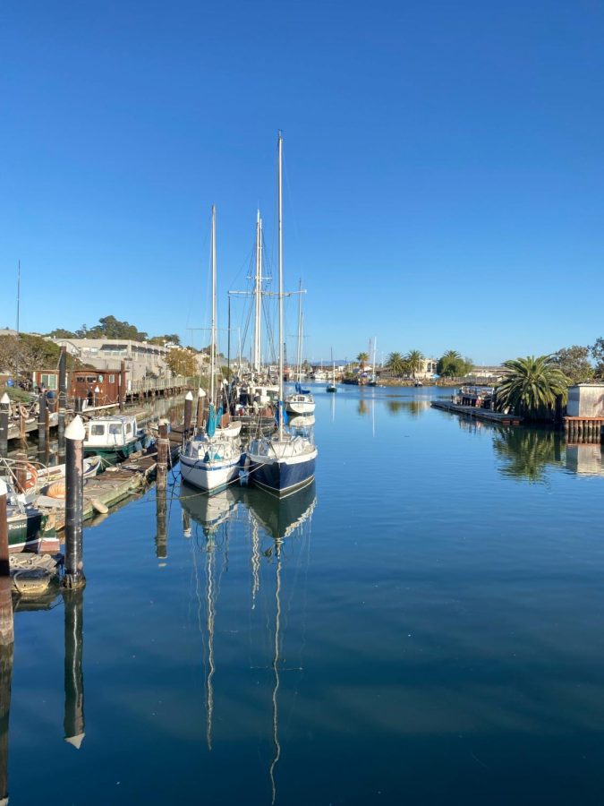 San Rafael declares a climate emergency, fueling its sustainability efforts