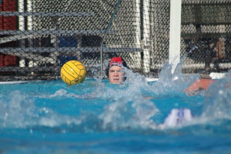 pot premium salvage Varsity boys' water polo makes a splash, winning first NCS title in seven  years – Redwood Bark