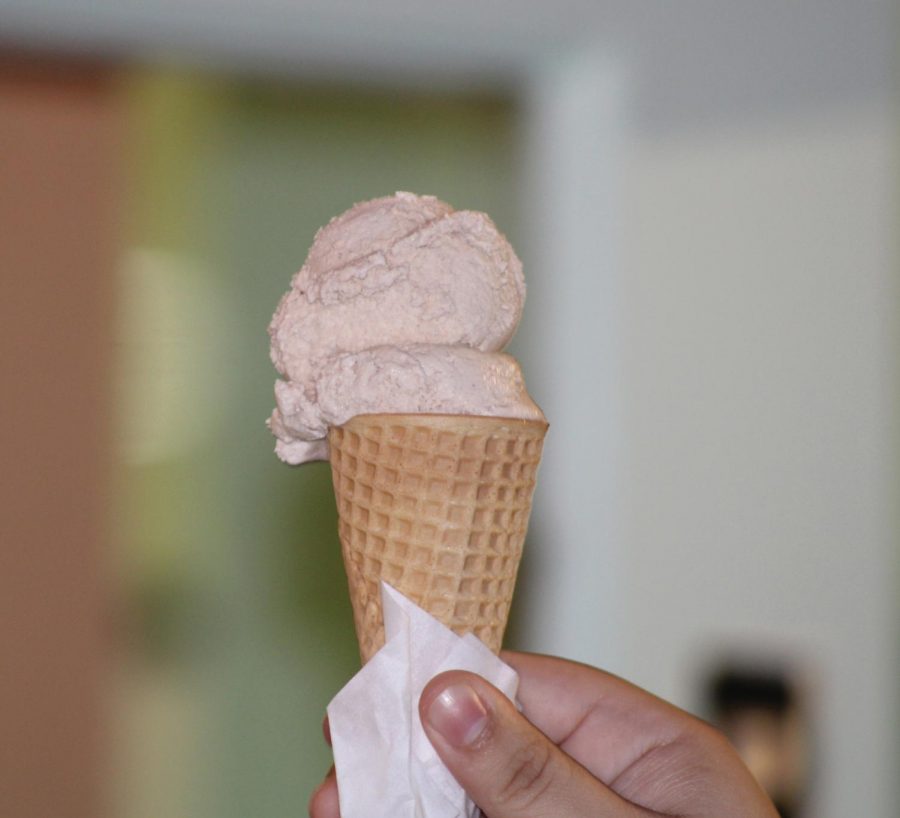 Shockingly flavorful, Noble Cow Creamery’s brown sugar cinnamon ice cream reminds one of the festive and fresh smell of a gingerbread house. (Photo by Sam Kimball)