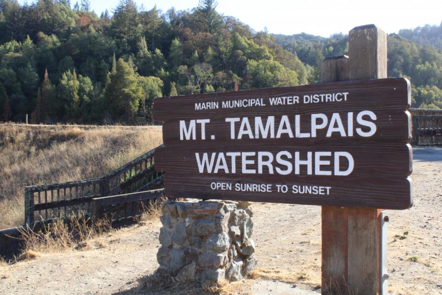 Guarding the entrance to the Mt. Tam Watershed, the Water District sign stands at Phoenix Lake.