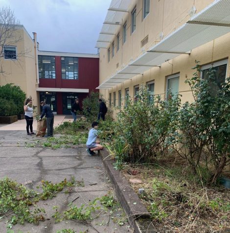 Clearing out the brush, students and parents work to cut away excess vegetation around campus. (Courtesy of Christine Svalin)