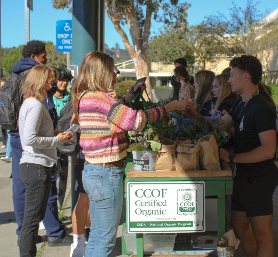 In the first sale of the semester, the Sustainable Agriculture class sells fresh, organic food grown on campus.