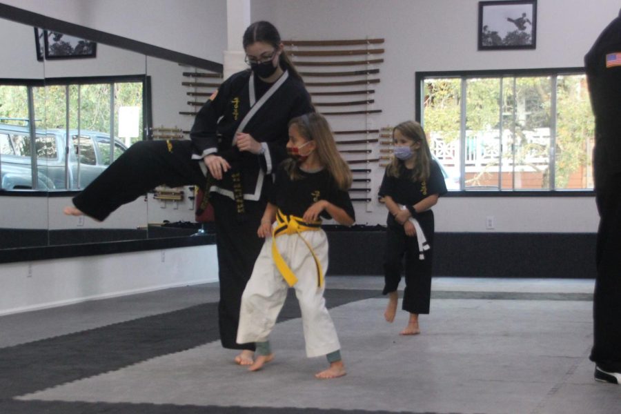 Fionna Owens kicks down gender barriers by teaching martial arts