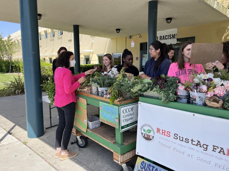 Celebrating sustainability week, students in Redwood Sustainable Agriculture sold fresh organic spring produce at their farmers market after school on Wednesday. 