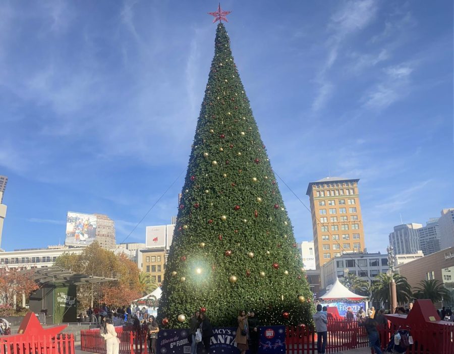 Holiday activities in the Bay Area!