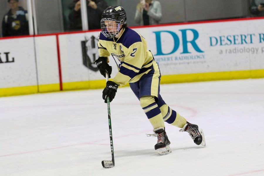 Students skate their way onto competitive ice hockey teams