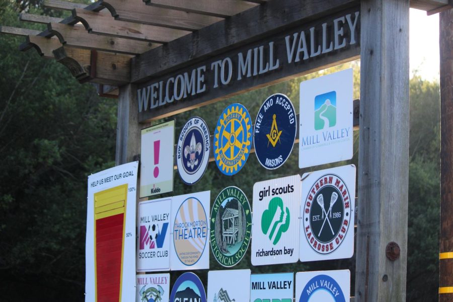 Initiatives surrounding diversity, equity and inclusion within Mill Valley continue to expand, including the new proposal passed by the Mill Valley Parks and Recreation Commission.