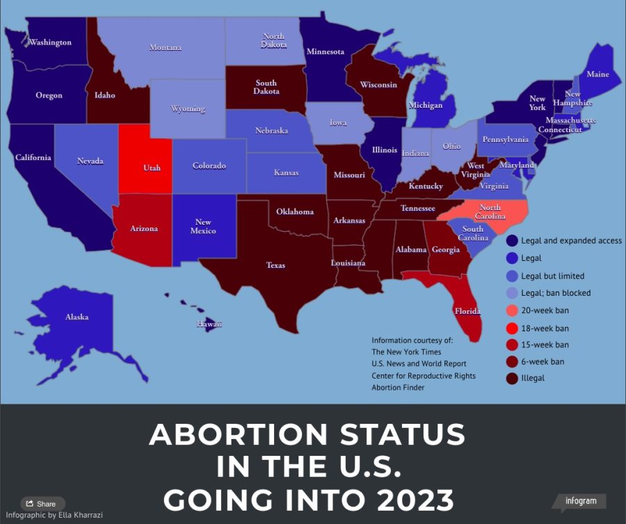 Abortion status going into 2023